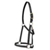 Walsh Nylon Halter .75 Inch -Wahl Sales 2024 1136 c1105