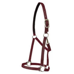 Walsh Nylon Halter .75 Inch -Wahl Sales 2024 1136 c1110