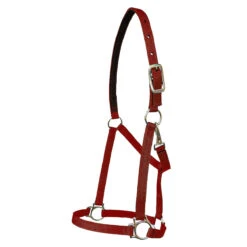 Walsh Nylon Halter .75 Inch -Wahl Sales 2024 1136 c1158