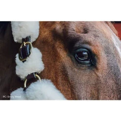 Perris Sheepskin Shipping Halter -Wahl Sales 2024 125h c1126 alt2