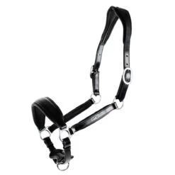 Schockemohle Fremont Anatomic Leather Halter -Wahl Sales 2024 1310 00012 c1105 alt3