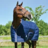 Country Pride Squall Heavyweight Stable Blanket 2 Country Pride Squall Heavyweight Stable Blanket -Wahl Sales 2024 19 3H c1146 efb295c4 60cf 4937 a30b 98fa164628c5