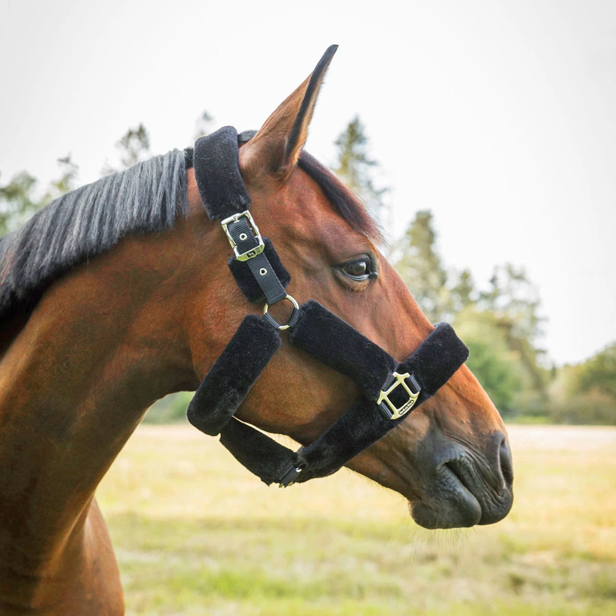 Back On Track Audrey Therapeutic Fleece Halter 4 Back On Track Audrey Therapeutic Fleece Halter - Image 2