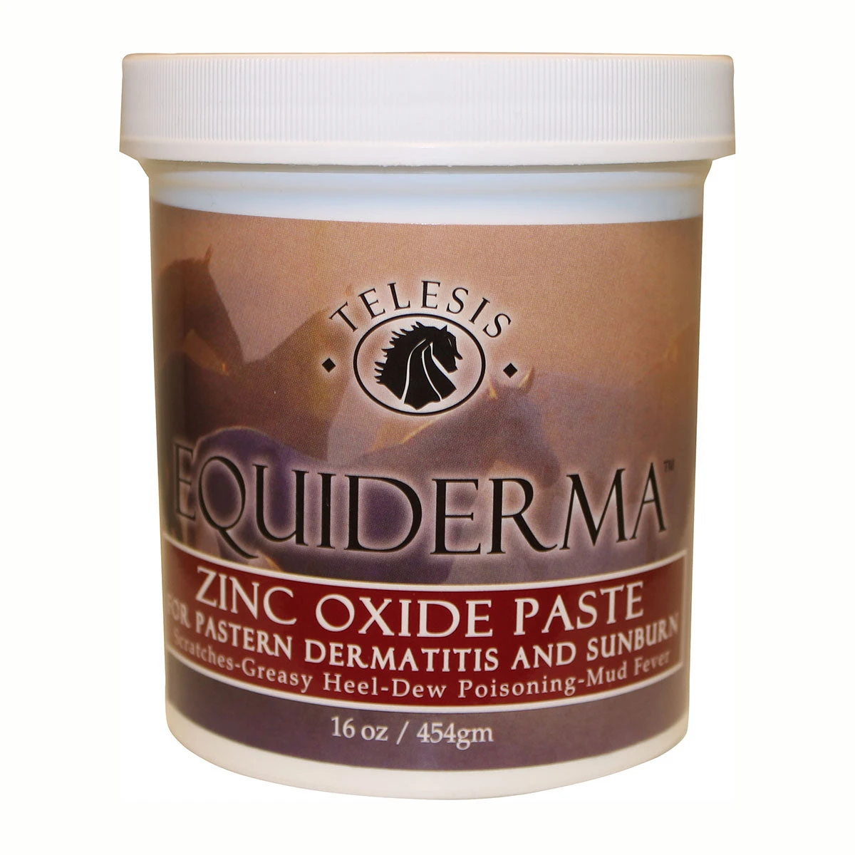 Equiderma Zinc Oxide Paste 16 Oz 3 Equiderma Zinc Oxide Paste 16 Oz