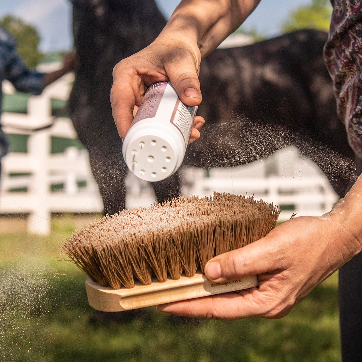 Equiderma Daily Defense Dry Shampoo 8 Oz 4 Equiderma Daily Defense Dry Shampoo 8 Oz - Image 2