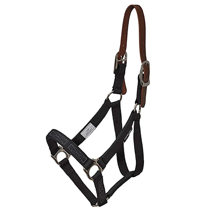 Flexible Filly Turnout Halter 3 Flexible Filly Turnout Halter