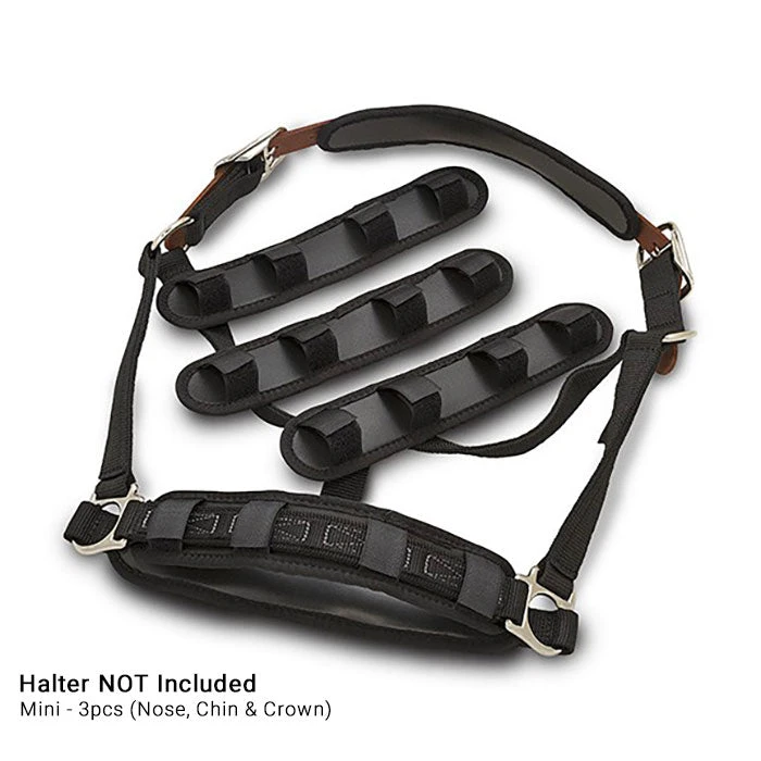 Flexible Filly Halter Liners 3 Flexible Filly Halter Liners