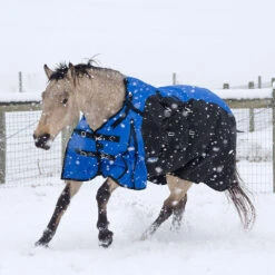 Tough 1 Bellyband 1200D Turnout Blanket With Snuggit Neck 250 Gm 9 Tough 1 Bellyband 1200D Turnout Blanket With Snuggit Neck 250 Gm -Wahl Sales 2024 32 12250 c1106 alt1