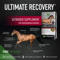 Buckeye Nutrition Ultimate Recovery 30 Lb 5 Buckeye Nutrition Ultimate Recovery 30 Lb -Wahl Sales 2024 32630 2
