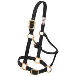 Weaver Leather Weaver Nylon Halter - Suckling Size -Wahl Sales 2024 35 1030 c1105 6805f990 7156 486b 8640 853bc44181dd