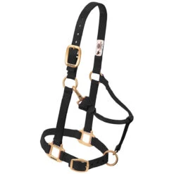 Weaver Leather Weaver Nylon Halter Weanling Pony Size -Wahl Sales 2024 35 1032 c1105 19b4f246 fb7e 418d a642 46c43d39549f
