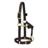Weaver Leather Weaver Miniature Horse Adjustable Nylon Halter Large -Wahl Sales 2024 35 4805 c1105