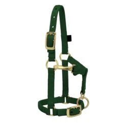Weaver Leather Weaver Miniature Horse Adjustable Nylon Halter Large -Wahl Sales 2024 35 4805 c1129