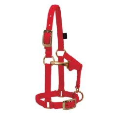 Weaver Leather Weaver Miniature Horse Adjustable Nylon Halter Large -Wahl Sales 2024 35 4805 c1158