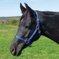 Weaver Leather Weaver Nylon Halter Average - Arabian Size -Wahl Sales 2024 35 5035 c1106