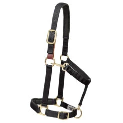 Weaver Leather Weaver Breakaway Padded Nylon Halter
