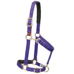 Weaver Leather Weaver Breakaway Padded Nylon Halter -Wahl Sales 2024 35 6075 c1157