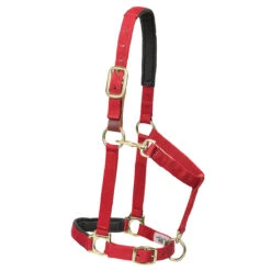 Weaver Leather Weaver Breakaway Padded Nylon Halter -Wahl Sales 2024 35 6075 c1158