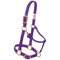 Weaver Leather Weaver Original Yearling Horse Nylon Halter 17 Weaver Leather Weaver Original Yearling Horse Nylon Halter -Wahl Sales 2024 35 7033 c1157