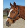 Weaver Leather Weaver Nylon Halter Average Horse Size -Wahl Sales 2024 35 7035 c1105