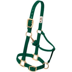 Weaver Leather Weaver Nylon Halter Average Horse Size -Wahl Sales 2024 35 7035 c1129