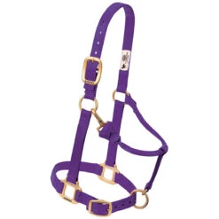 Weaver Leather Weaver Original Large Horse Nylon Halter -Wahl Sales 2024 35 7036 c1157