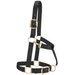 Weaver Leather Weaver Draft Horse Halter Nylon - Average Draft Size -Wahl Sales 2024 35 7635 c1105 4a97225d 0d2d 4003 8519 9d1ec7cf782f