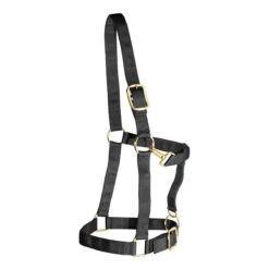 Weaver Leather Weaver Draft Horse Halter Nylon - Large Draft -Wahl Sales 2024 35 7636 c1105 61a5cd4e d85a 48a8 bafc 0b012656e7ed