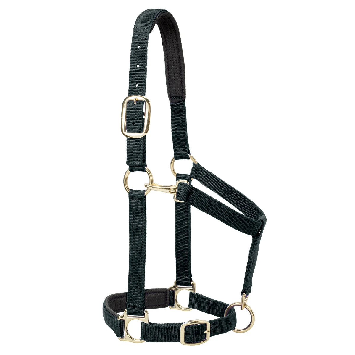 Weaver Leather Weaver Padded Adjustable Nylon Halter 3 Weaver Leather Weaver Padded Adjustable Nylon Halter