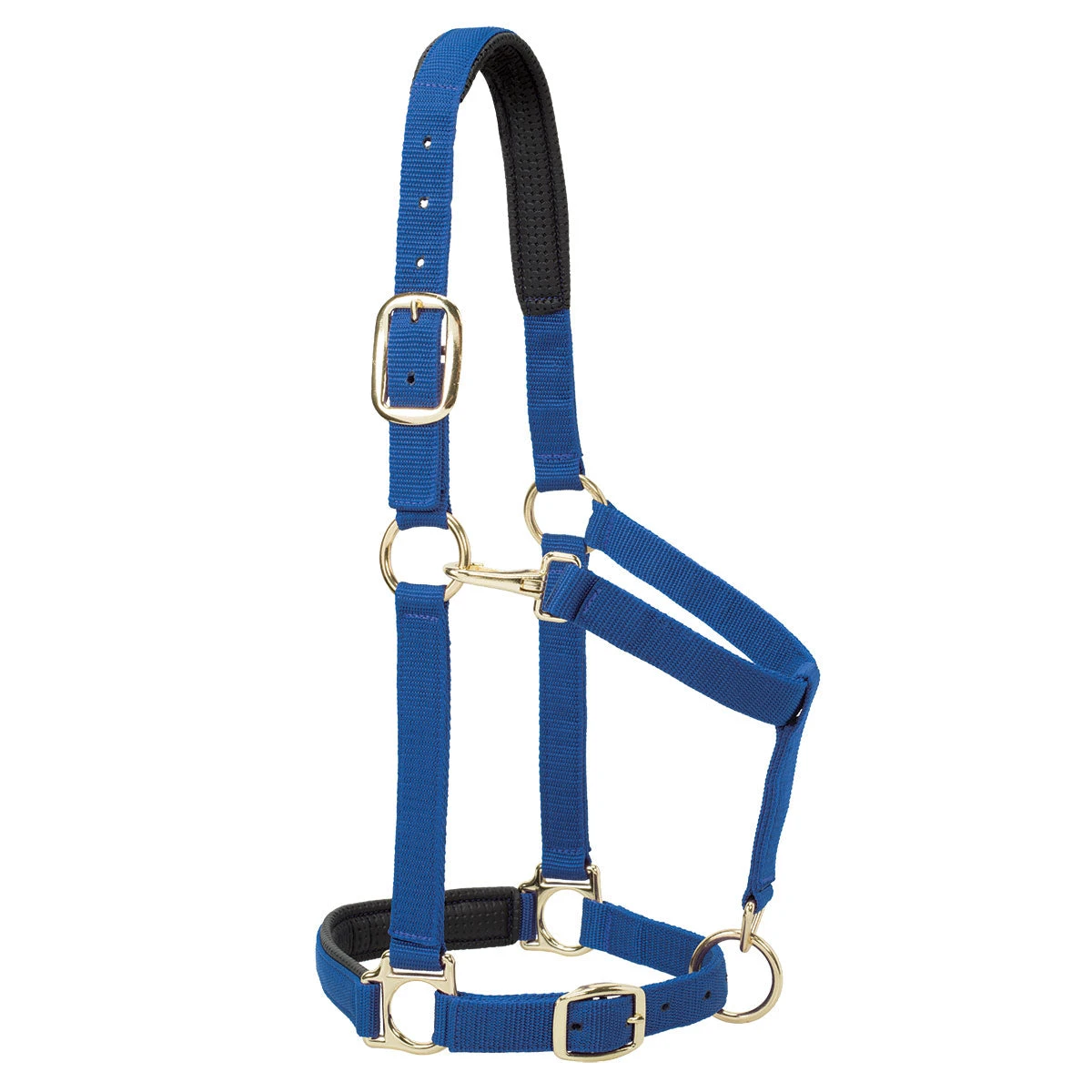 Weaver Leather Weaver Padded Adjustable Nylon Halter 4 Weaver Leather Weaver Padded Adjustable Nylon Halter - Image 2