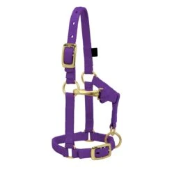 Weaver Leather Weaver Miniature Horse Nylon Halter - Average Size 9 Weaver Leather Weaver Miniature Horse Nylon Halter - Average Size -Wahl Sales 2024 3760 c1157