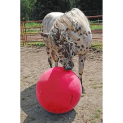 Horsemens Pride Jolly Mega Ball