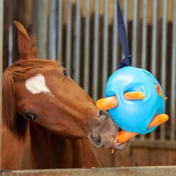 Carrot Ball Enrichment Toy 9 Carrot Ball Enrichment Toy -Wahl Sales 2024 4265j 2