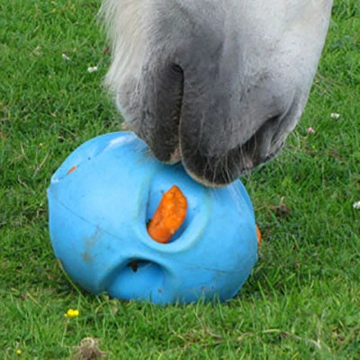 Carrot Ball Enrichment Toy 4 Carrot Ball Enrichment Toy - Image 2