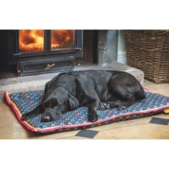 Shires Digby And Fox Waterproof Dog Bed - Dog House Print