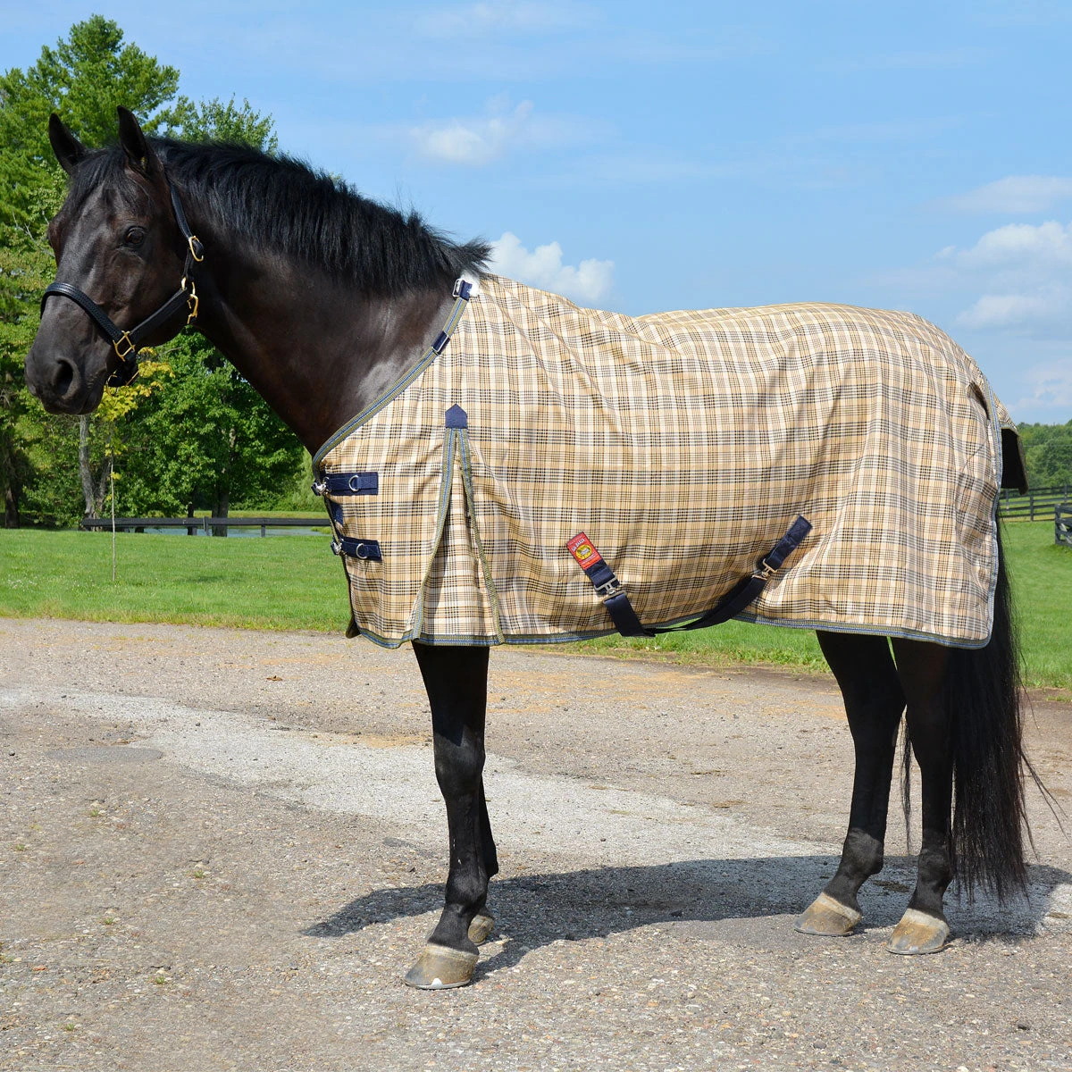 5/A Baker Extreme 2100D Turnout Blanket Heavy Weight 4 5/A Baker Extreme 2100D Turnout Blanket Heavy Weight - Image 2