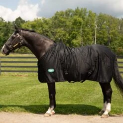 Country Pride Solid Color Cotton Poly Summer Stable Sheet -Wahl Sales 2024 7306t c1105 fabe5654 96bd 44a7 847d b138016cfdfa