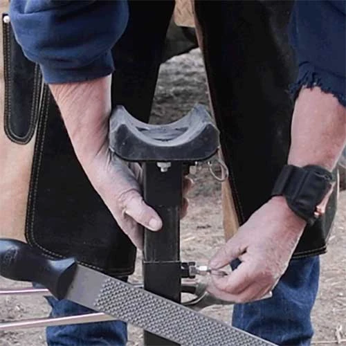 Tough 1 Professional Adjustable Farrier Stand 7 Tough 1 Professional Adjustable Farrier Stand - Image 5