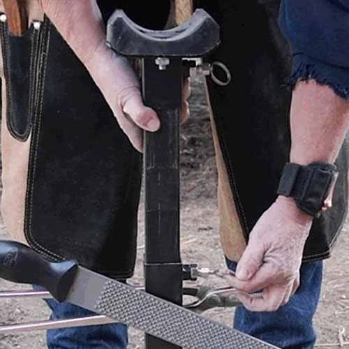 Tough 1 Professional Adjustable Farrier Stand 6 Tough 1 Professional Adjustable Farrier Stand - Image 4