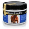 GastroEase EQ Powder 1 Lb -Wahl Sales 2024 8002D