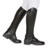 Dublin Evolution Rear Zip Ladies Half Chaps -Wahl Sales 2024 81917w
