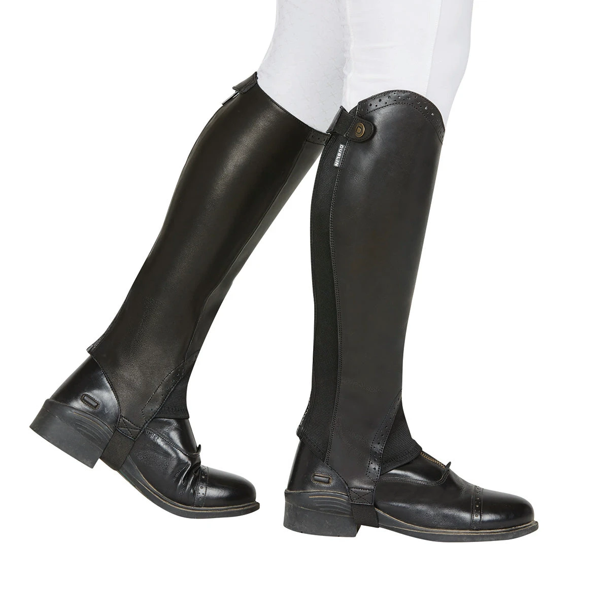 Dublin Evolution Rear Zip Ladies Half Chaps 3 Dublin Evolution Rear Zip Ladies Half Chaps