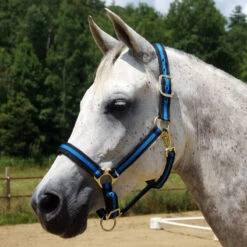 Country Pride Padded Two Tone Nylon Halter -Wahl Sales 2024 858735 c1106 f3da79ed 4d7e 401e 8421 1dfd191f156a