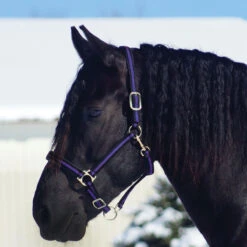 Country Pride Padded Two Tone Nylon Halter -Wahl Sales 2024 858735 c1157