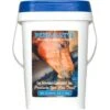 Cox Vet Labs Perk-A-Lyte Electrolyte - 5 Lb -Wahl Sales 2024 8678