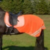 Shires Equi-Flector Reflective Exercise Sheet