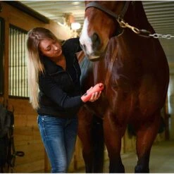 Wahl KM Cordless 2 Speed Clipper Kit 10 Wahl KM Cordless 2 Speed Clipper Kit -Wahl Sales 2024 9596 100 c1156 alt3