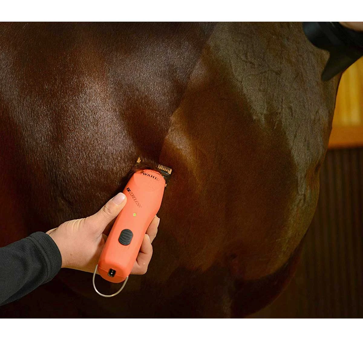 Wahl KM Cordless 2 Speed Clipper Kit 3 Wahl KM Cordless 2 Speed Clipper Kit