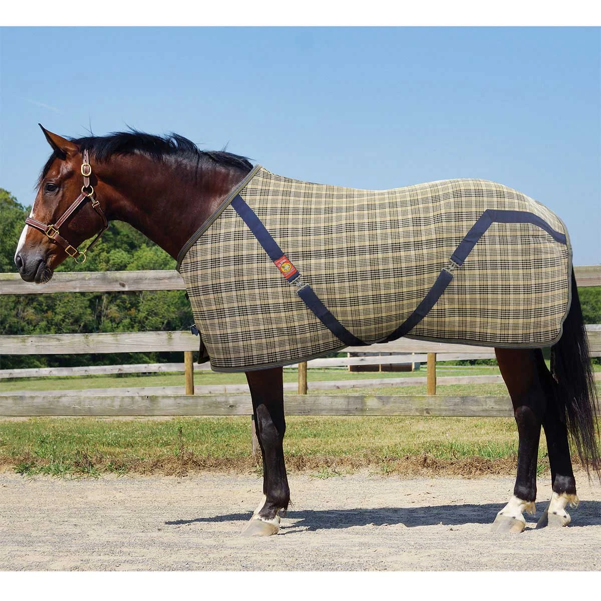 The Original 5/A Baker Blanket 4 The Original 5/A Baker Blanket - Image 2