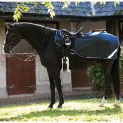 Horseware Ireland Horseware Amigo Competition Quarter Sheet -Wahl Sales 2024 agrc20 c1146 0cc5e7a0 dcd0 4f55 8aaa 88913f13ad3c